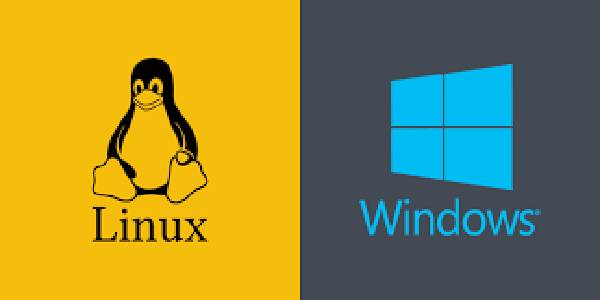 Linux or Windows hosting